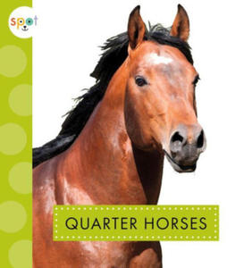 Quarter Horses - 2876326575