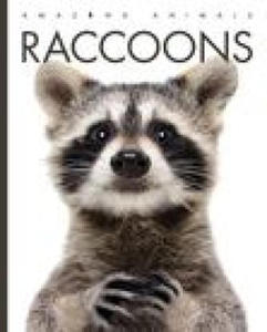 Raccoons - 2877873356