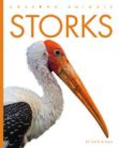 Kniha Storks - 2877312823