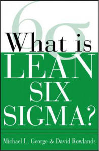 What is Lean Six Sigma - 2873478621