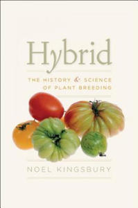 Nol Kingsbury - Hybrid - 2878320834