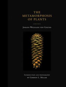 Metamorphosis of Plants - 2878872976