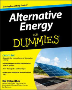 Alternative Energy For Dummies - 2867152056