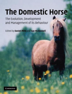 Domestic Horse - 2867134457