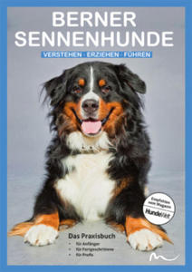 Berner Sennenhunde - 2877770619