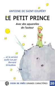 LE PETIT PRINCE - 2876623071