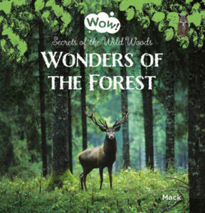 Wonders of the Forest. Secrets of the Wild Woods - 2876339202