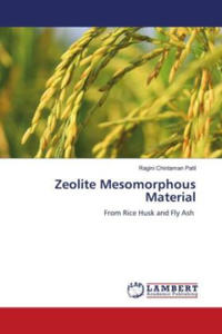 Zeolite Mesomorphous Material - 2877635462