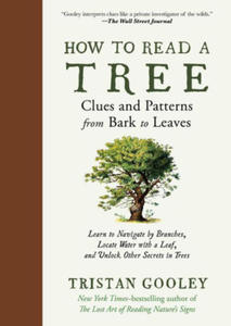 How to Read a Tree: Clues and Patterns from Bark to Leaves - 2878429574