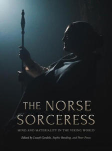Norse Sorceress - 2878074550