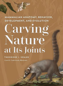 Carving Nature at Its Joints - 2871798835