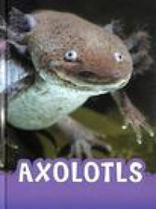 Axolotls - 2878627310