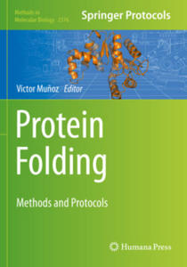 Protein Folding - 2872213102