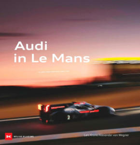 Audi in Le Mans - 2873994694