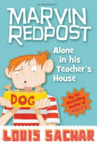 Alone in His Teacher's House - 2876455458