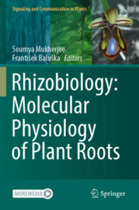 Rhizobiology: Molecular Physiology of Plant Roots - 2872414790