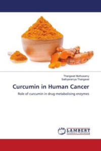 Curcumin in Human Cancer - 2873039442