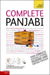 Complete Punjabi Beginner to Intermediate Course - 2878441385