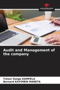 Audit and Management of the company - 2877631677