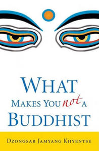 What Makes You Not a Buddhist - 2873608854