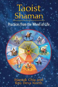 Taoist Shaman - 2878171379