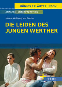 Die Leiden des jungen Werther von Johann Wolfgang von Goethe. - 2878624621