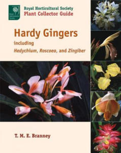 Hardy Gingers, Including Hedychium, Roscoea, and Zingiber - 2866870076