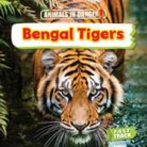 Bengal Tigers - 2877964619