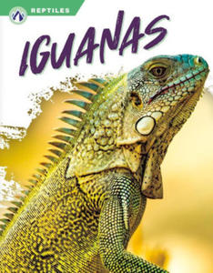 Iguanas - 2878085548