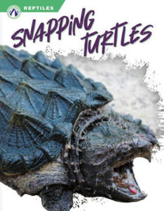 Snapping Turtles - 2878085547