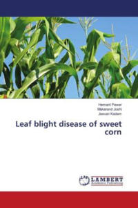 Leaf blight disease of sweet corn - 2878085530