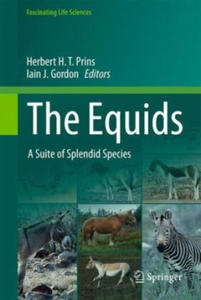 The Equids - 2876456473
