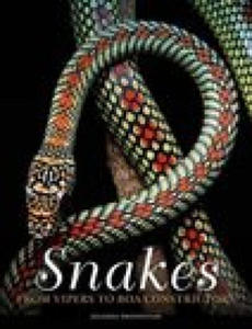 Snakes: From Vipers to Boa Constrictors - 2878777294