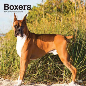 Boxers 2024 Square - 2877405709