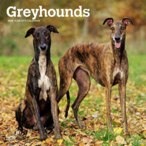 Greyhounds 2024 Square - 2875675964