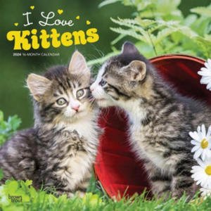 Kittens, I Love 2024 Square - 2877313729