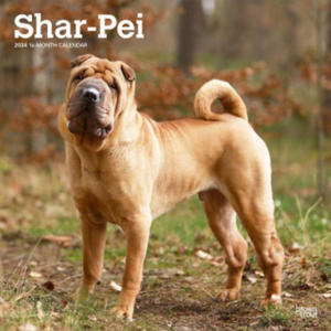 Shar Pei 2024 Square - 2875672194