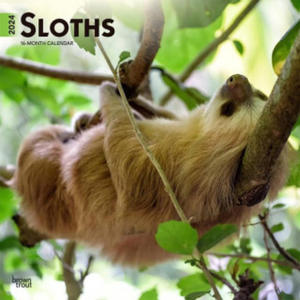 Sloths 2024 Square - 2875665898
