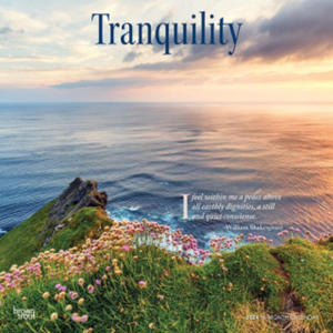 Tranquility 2024 Square - 2877405478