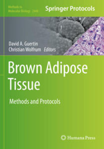 Brown Adipose Tissue - 2877872937