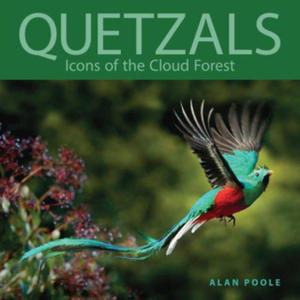 Quetzals: Icons of the Cloud Forest - 2876620978