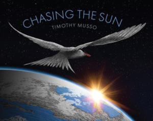 Chasing the Sun - 2877963045