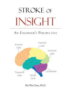 Stroke of Insight: An Engineer's Perspective - 2877496381