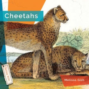 Cheetahs - 2878444436