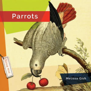 Parrots - 2875671913