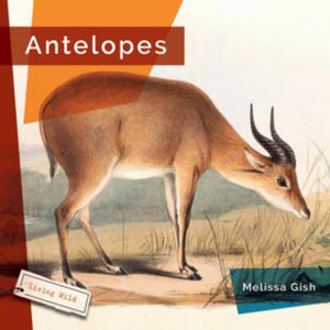 Antelopes - 2875231309