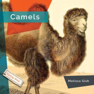 Kniha Camels - 2875671720