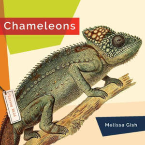 Chameleons - 2875672186