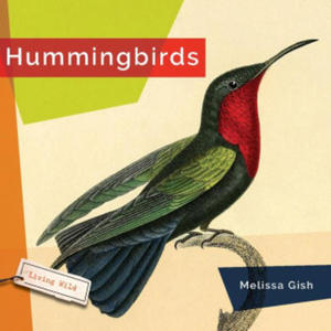 Hummingbirds - 2875675911