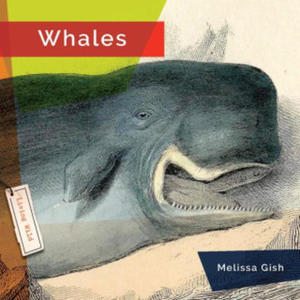 Kniha Whales - 2875672538